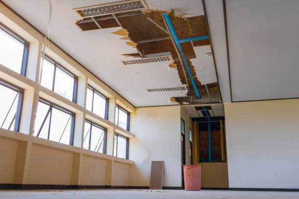 Best Flood damage cleanup  in Fairfield, CA