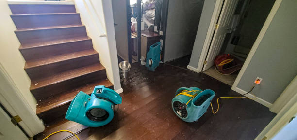 Best Basement water damage restoration  in Fairfield, CA