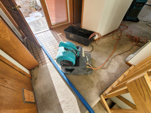 Best Water damage restoration cost  in Fairfield, CA