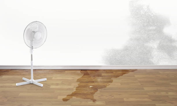 Best Residential water damage restoration  in Fairfield, CA